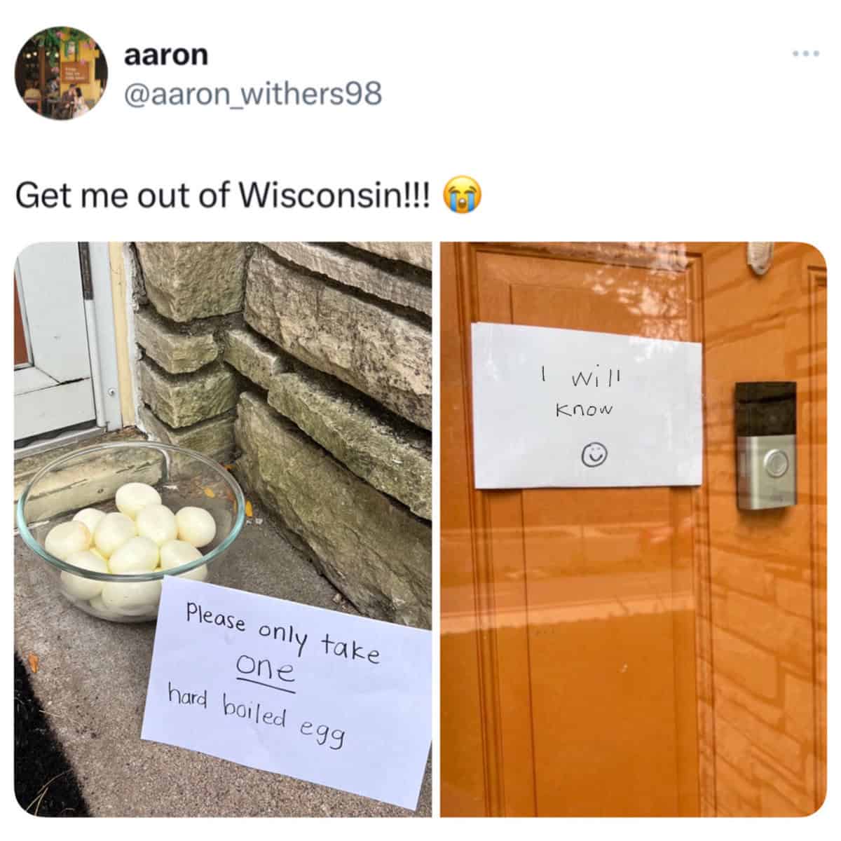 meme dump, funny memes, hilarious memes, lunch break memes, internet humor, meme collection, daily memes