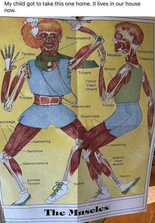 meme dump, funny memes, hilarious memes, lunch break memes, internet humor, meme collection, daily memes