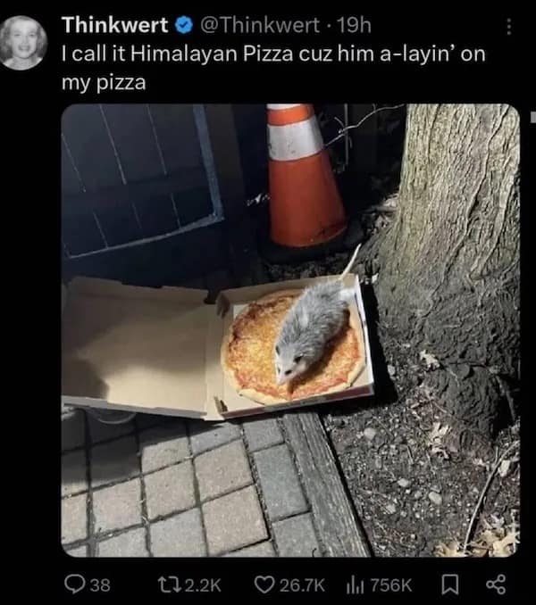 meme dump, funny memes, hilarious memes, lunch break humor, daily memes, internet laughter, meme feast, comedic buffet, laughter bonanza