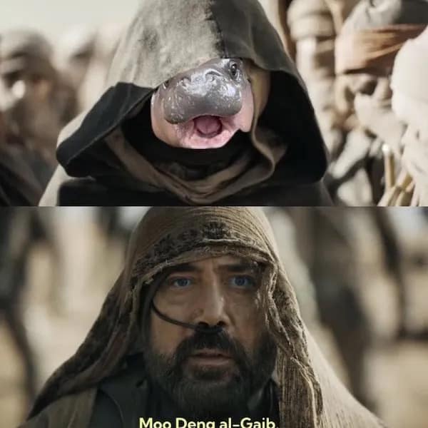 meme dump, funny memes, hilarious memes, lunch break humor, daily memes, internet laughter, meme feast, comedic buffet, laughter bonanza