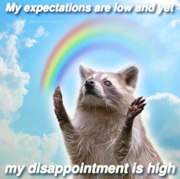 meme dump, funny memes, hilarious memes, lunch break humor, daily memes, internet laughter, meme feast, comedic buffet, laughter bonanza