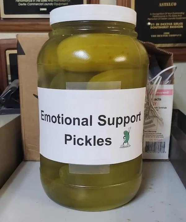 meme dump, funny memes, hilarious memes, lazy Sunday memes, humorous memes, meme collection, laughter repository, chuckle compilation, meme extravaganza