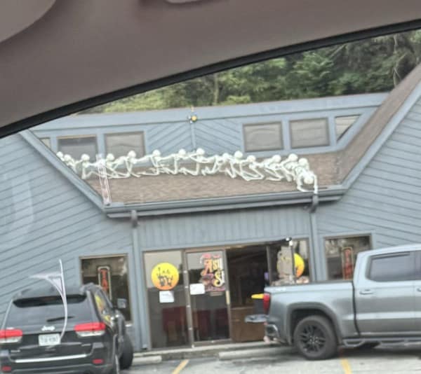 meme dump, funny memes, hilarious memes, lunch break humor, daily memes, internet laughter, meme feast, comedic buffet, laughter bonanza