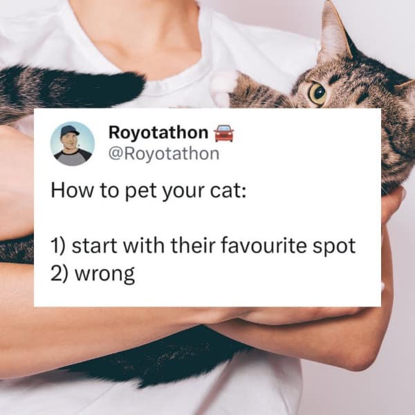 meme dump, funny memes, hilarious memes, lunch break memes, memes for work, daily funny memes, internet memes, trending memes, relatable memes