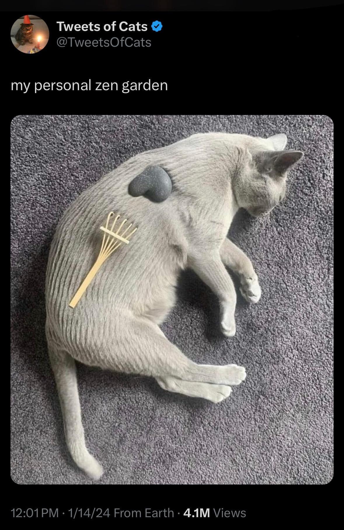 meme dump, funny memes, hilarious memes, lazy Sunday memes, humorous memes, meme collection, laughter repository, chuckle compilation, meme extravaganza