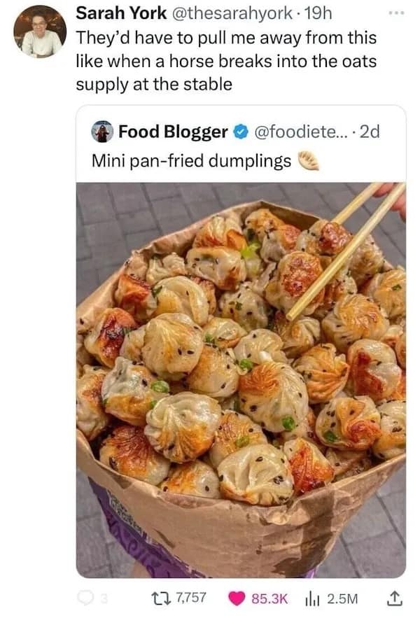 meme dump, funny memes, hilarious memes, meme compilation, meme gallery, lunch break meme