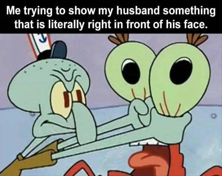 meme dump, funny memes, hilarious memes, hilarious content, laughter break, internet comedy compilation, side-splitting meme stash