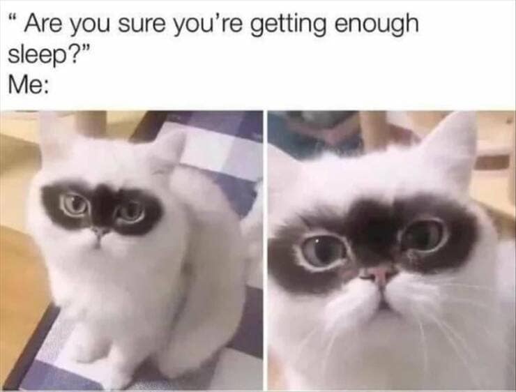 meme dump, funny memes, hilarious memes, hilarious content, laughter break, internet comedy compilation, side-splitting meme stash