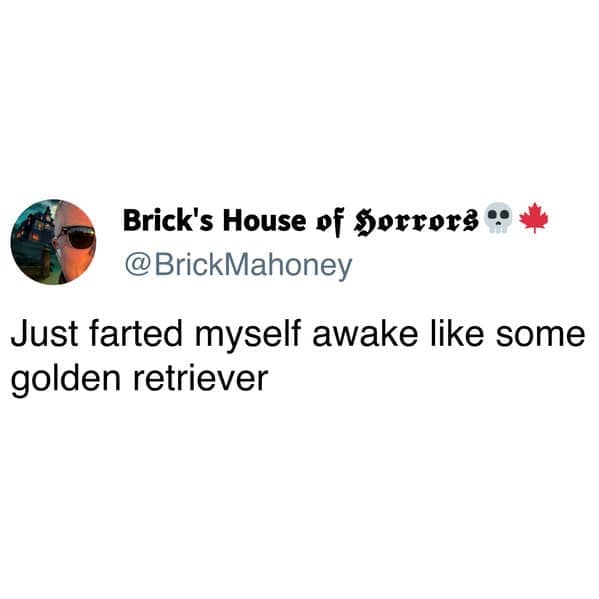 meme dump, funny memes, hilarious memes, lunch break memes, laugh-out-loud memes, amusing memes, midday memes, break time memes