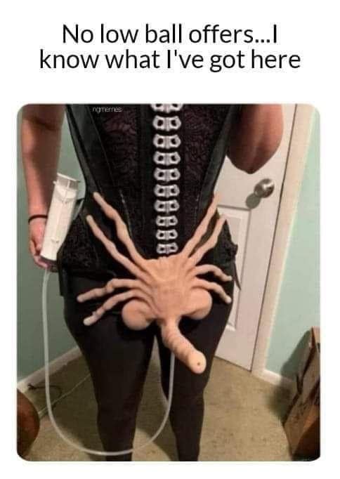 meme dump, funny memes, hilarious memes, Saturday memes, funny weekend posts, trending internet memes, relatable humor memes