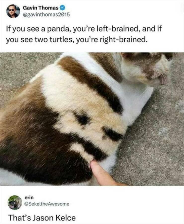 meme dump, funny memes, hilarious memes, hilarious content, laughter break, internet comedy compilation, side-splitting meme stash