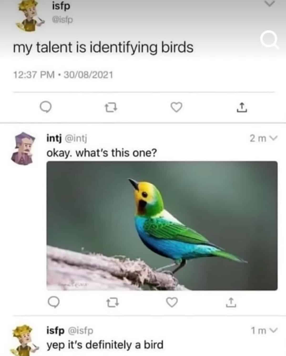 meme dump, funny memes, hilarious memes, daily memes, lunch break memes, viral memes