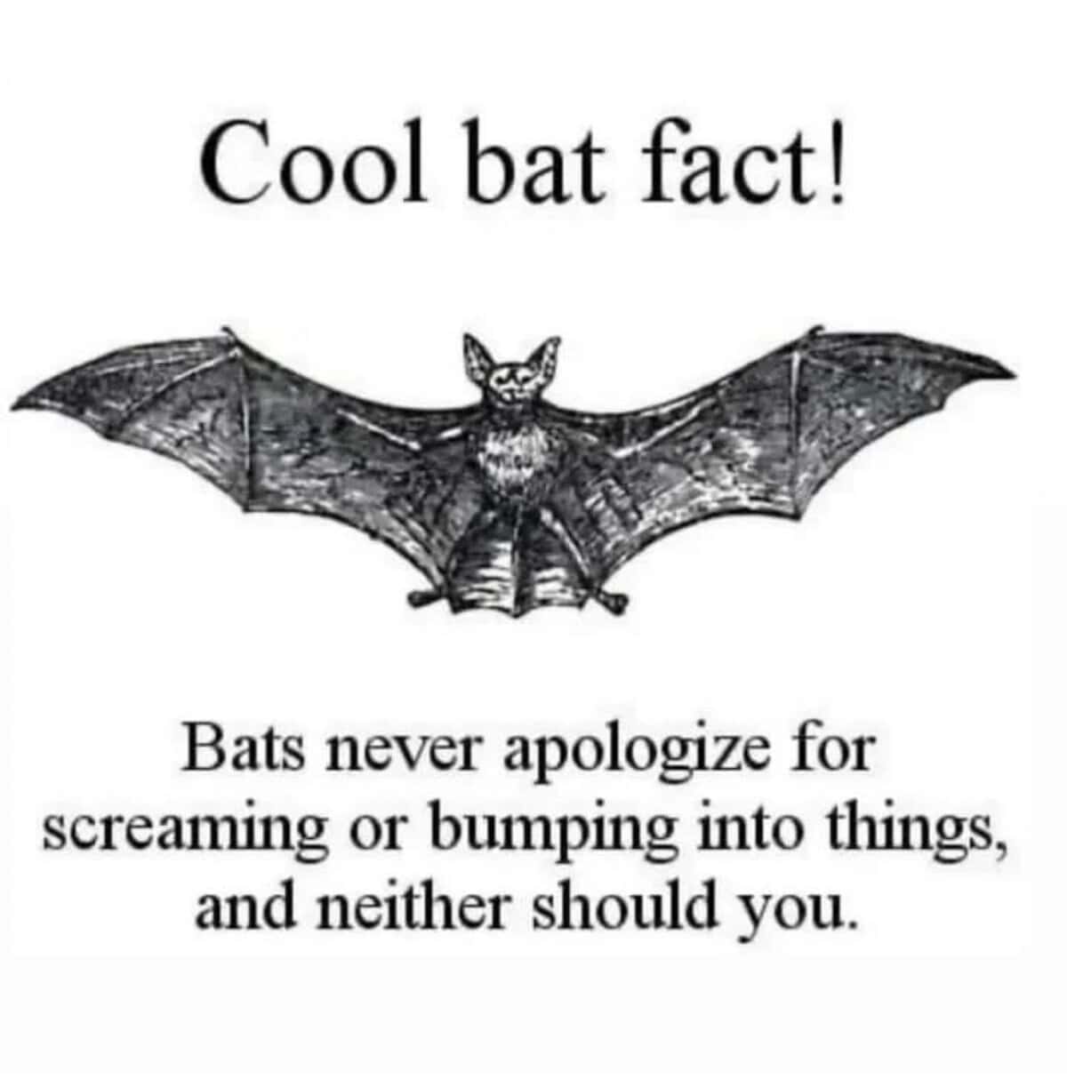 meme dump, funny memes, hilarious memes, lunch break memes, viral memes, relatable memes, reaction memes, viral internet humor