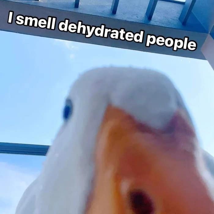 meme dump, funny memes, hilarious memes, meme compilation, meme gallery, lunch break meme