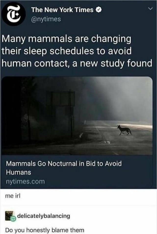 meme dump, funny memes, hilarious memes, hilarious content, laughter break, internet comedy compilation, side-splitting meme stash