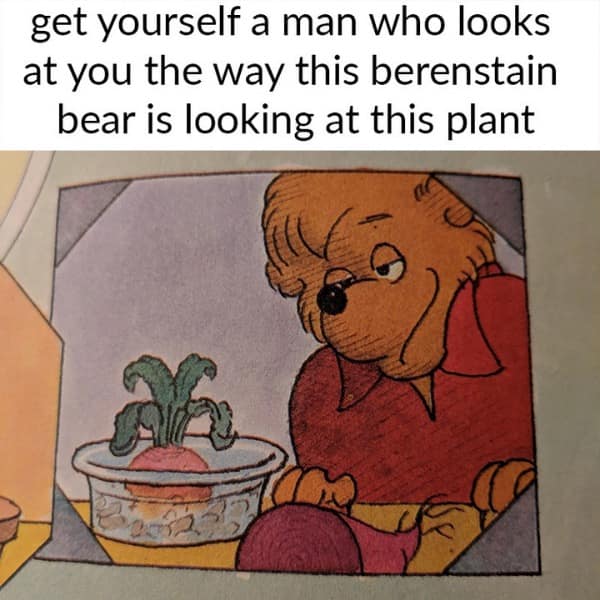 meme dump, funny memes, hilarious memes, lunch break memes, memes for work, daily funny memes, internet memes, trending memes, relatable memes