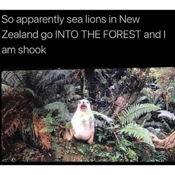 meme dump, funny memes, hilarious memes, lunch break memes, memes for work, daily funny memes, internet memes, trending memes, relatable memes