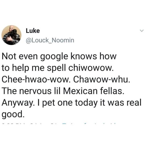 meme dump, funny memes, hilarious memes, lunch break memes, memes for work, daily funny memes, internet memes, trending memes, relatable memes