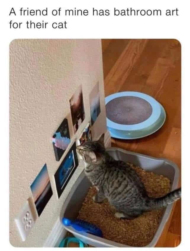 meme dump, funny memes, hilarious memes, lunch break memes, viral memes, relatable memes, reaction memes, viral internet humor