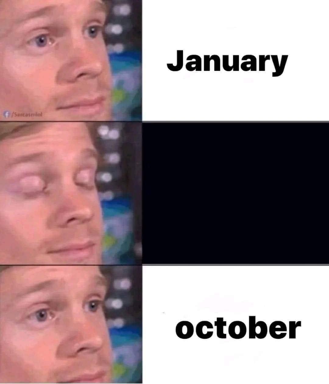 meme dump, funny memes, hilarious memes, lazy Sunday memes, humorous memes, meme collection, laughter repository, chuckle compilation, meme extravaganza