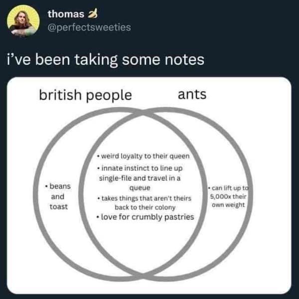 meme dump, funny memes, hilarious memes, lunch break memes, memes for work, daily funny memes, internet memes, trending memes, relatable memes