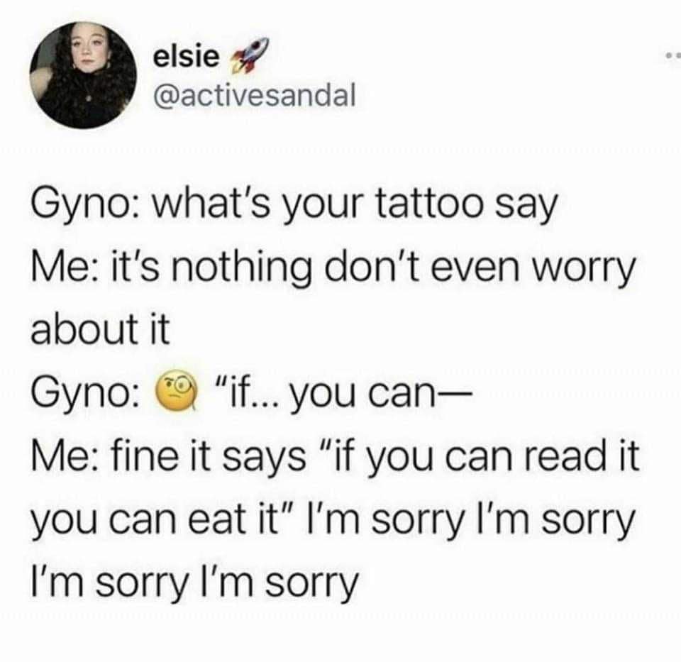 meme dump, funny memes, hilarious memes, Saturday memes, weekend humor, trending memes, viral memes