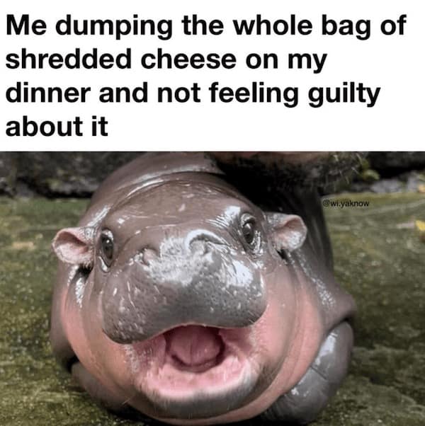 midwest memes, midwestern memes, funny memes about the Midwest, relatable memes, Midwestern life, memes from the Midwest, Midwestern humor, regional memes
