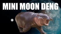 mini moon memes, moon 2 memes, asteroid memes, funny space memes, space humor, astronomy memes, cosmic memes, planetary jokes, funny space facts, asteroid humor, moon deng