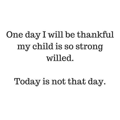 One day I will be thankful my child is so strong willed. Today is not that day.