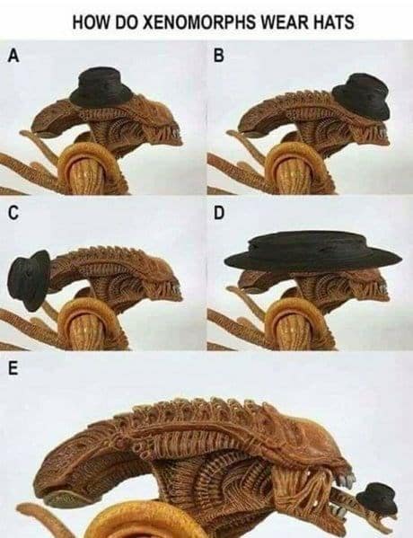 monster memes, horror memes, spooky memes, Halloween memes, Halloween jokes, scary memes, creature memes