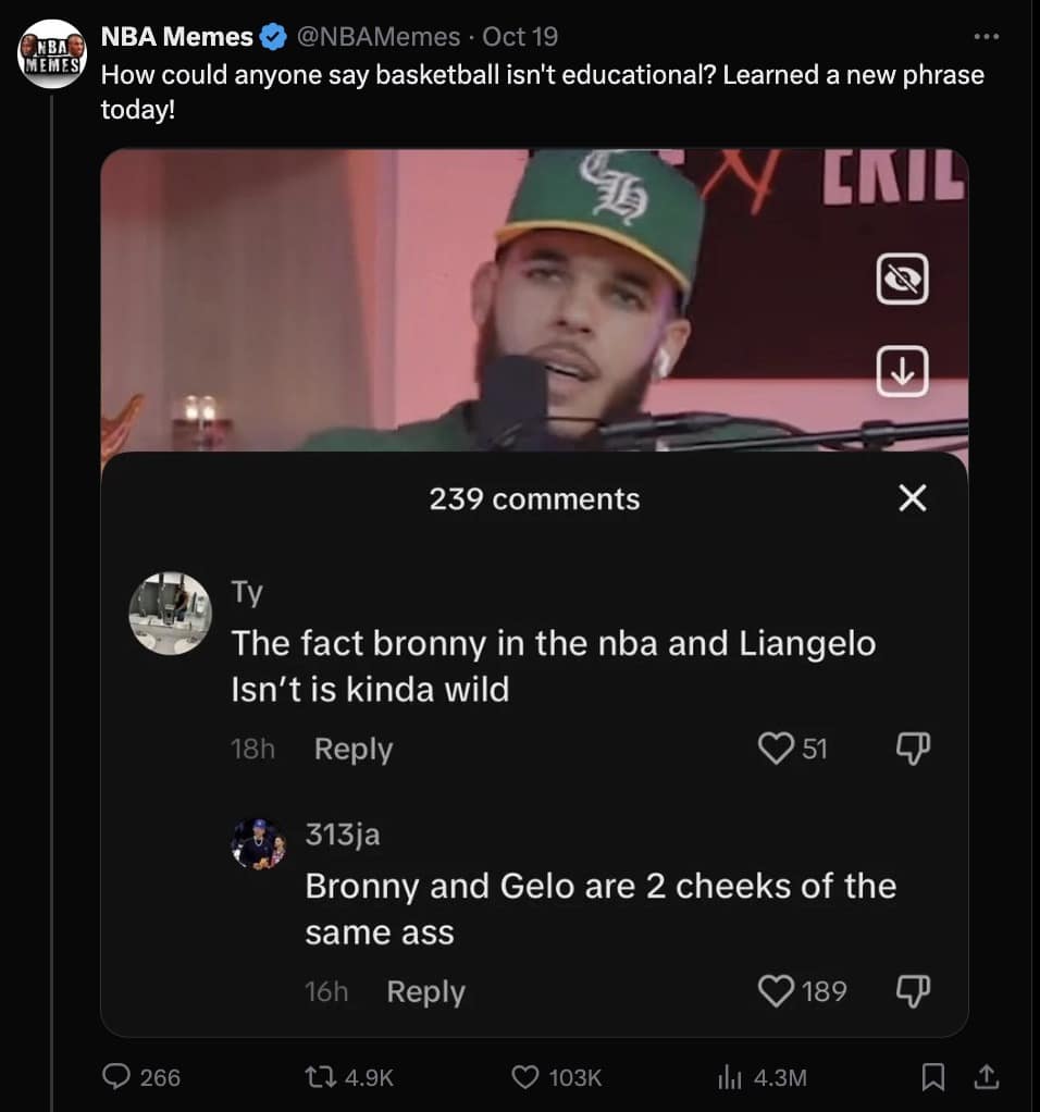 NBA memes, basketball memes, NBA jokes, LeBron memes, basketball humor, NBA season memes