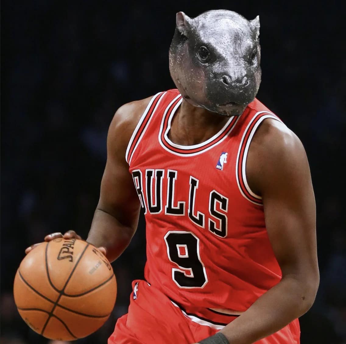 NBA memes, basketball memes, NBA jokes, LeBron memes, basketball humor, NBA season memes