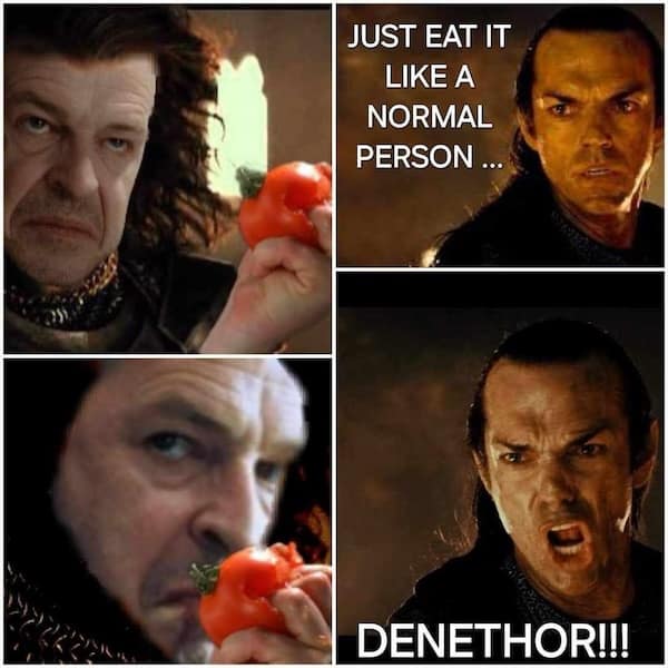 nerd memes, geeky memes, high fantasy enthusiasts, fans of fantasy fiction, science fiction jokes, allusions to sci-fi works