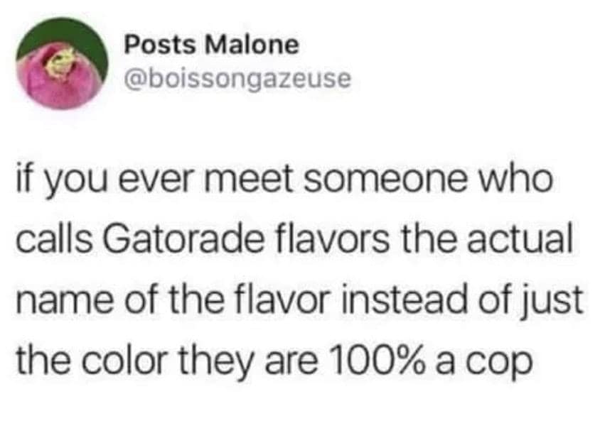 oddly specific memes, niche memes, specific interest memes, obscure online jokes, targeted humor memes