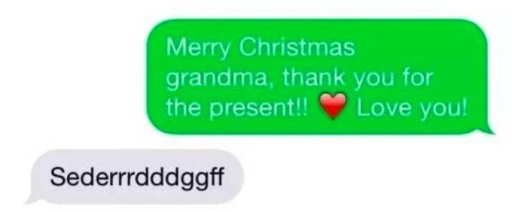 Merry Christmas grandma, thank you for the present!! Love you! Sederrrdddggff