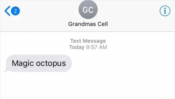 Magic octopus