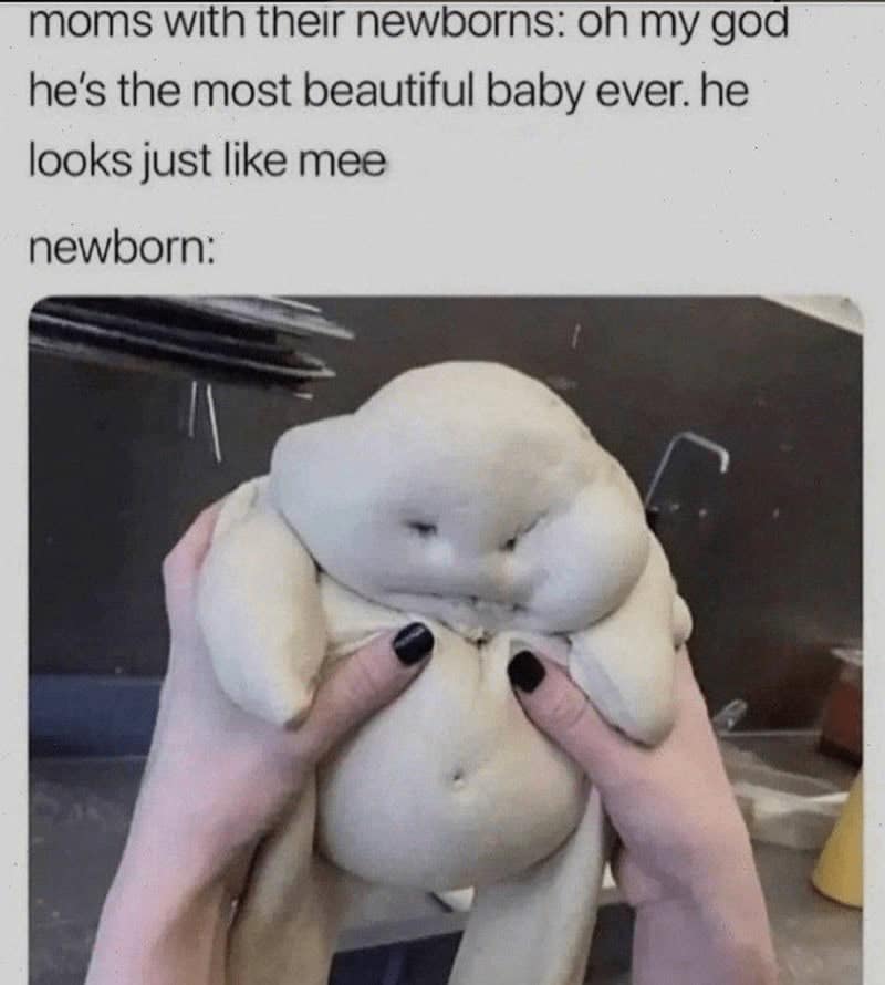 parenting memes, parenting tweets, comedic family quips, chuckle-inducing mommy memes, hilarious dad jokes