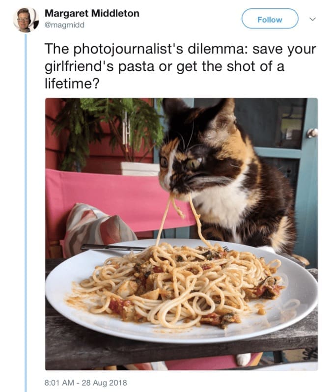 carb jokes, Italian food humor, national pasta day memes, spaghetti memes, mac and cheese memes, Italian cuisine humor, noodle memes, comfort food humor, pasta puns