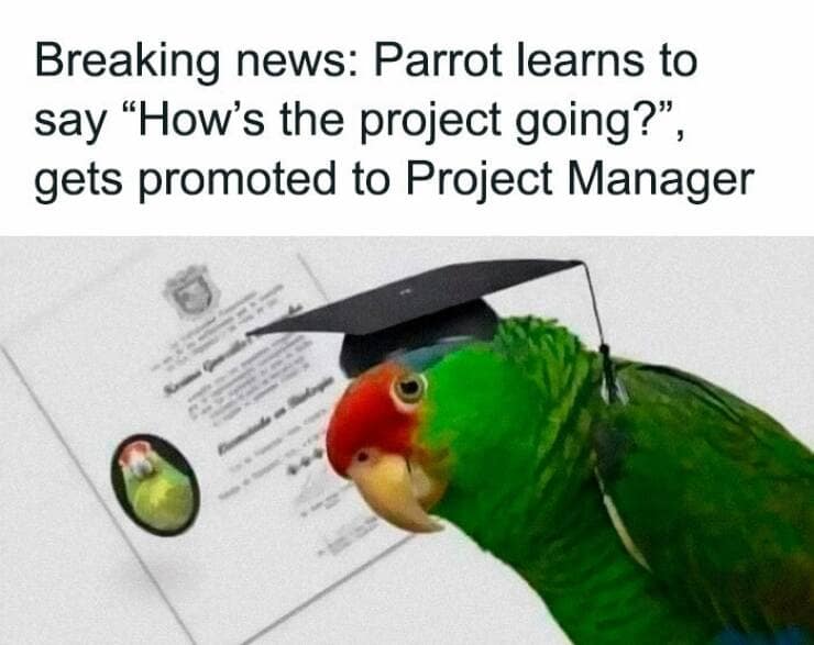 programmer memes, coding memes, developer memes, tech memes, software developer humor, IT memes, debugging jokes, tech worker humor, coding jokes, programming fails