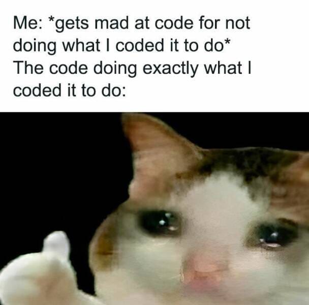 Me: *gets mad at code for not doing what I coded it to do* The code doing exactly what I coded it to do: