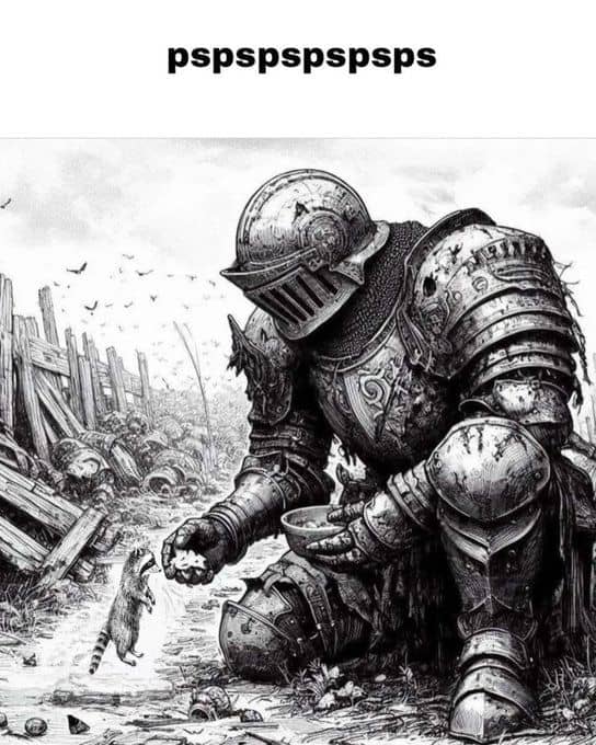 raccoon memes, trash panda memes, funny raccoon memes, cute raccoon memes, hilarious raccoon memes