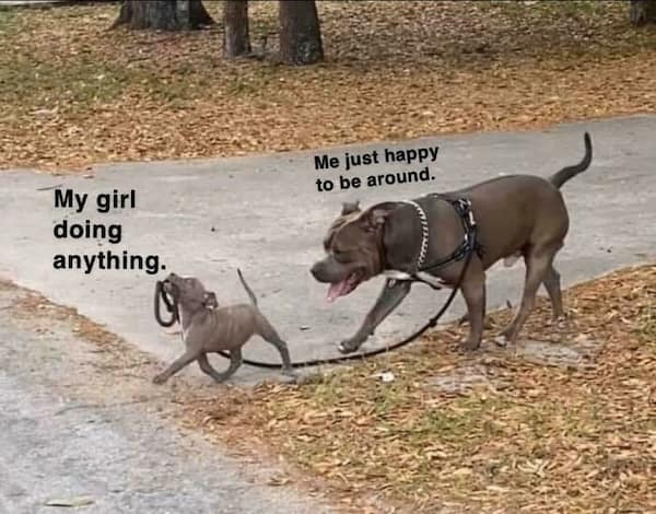 My girl doing anything.