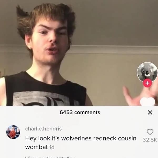 Hey look it's wolverines redneck cousin wombat