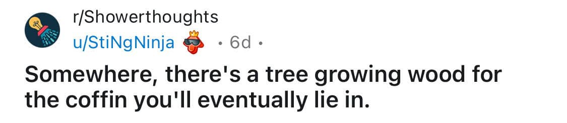 shower thoughts, random musings, funny observations, quirky thoughts, thought-provoking memes, funny realizations, brain teasers, clever musings, random questions, mind-bending thoughts