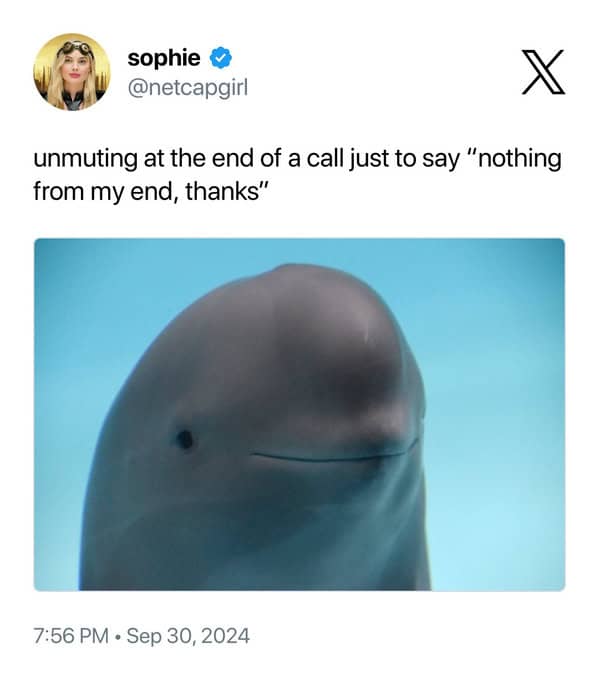 smiling dolphin memes, viral dolphin memes, dolphin humor, funny dolphin memes, viral animal memes, funny animal pictures, animal reaction memes, popular animal memes, dolphin smile memes, feel-good animal humor