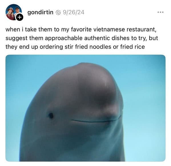 smiling dolphin memes, viral dolphin memes, dolphin humor, funny dolphin memes, viral animal memes, funny animal pictures, animal reaction memes, popular animal memes, dolphin smile memes, feel-good animal humor