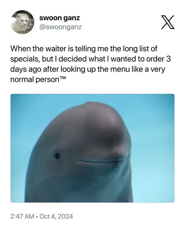 smiling dolphin memes, viral dolphin memes, dolphin humor, funny dolphin memes, viral animal memes, funny animal pictures, animal reaction memes, popular animal memes, dolphin smile memes, feel-good animal humor