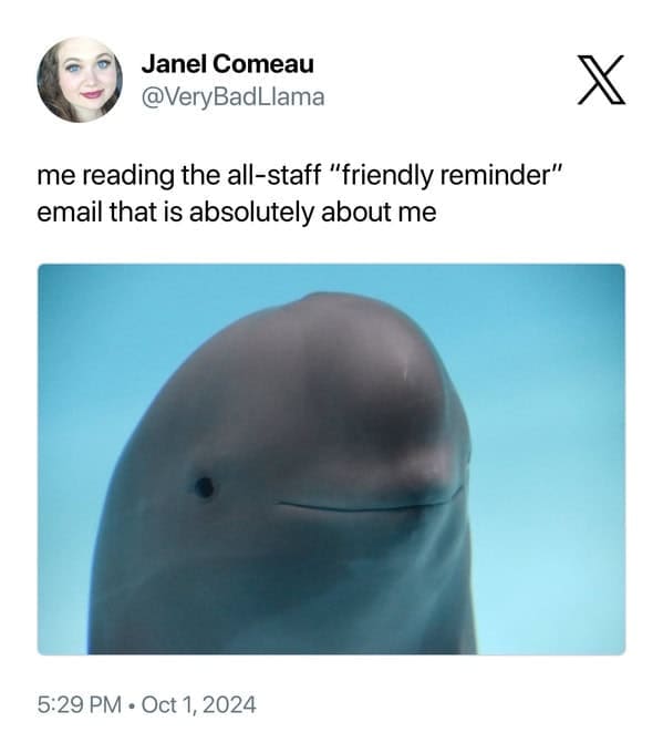 smiling dolphin memes, viral dolphin memes, dolphin humor, funny dolphin memes, viral animal memes, funny animal pictures, animal reaction memes, popular animal memes, dolphin smile memes, feel-good animal humor