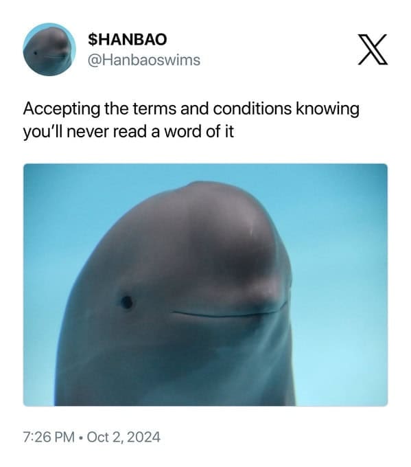 smiling dolphin memes, viral dolphin memes, dolphin humor, funny dolphin memes, viral animal memes, funny animal pictures, animal reaction memes, popular animal memes, dolphin smile memes, feel-good animal humor