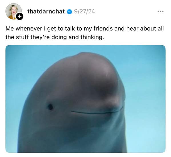 smiling dolphin memes, viral dolphin memes, dolphin humor, funny dolphin memes, viral animal memes, funny animal pictures, animal reaction memes, popular animal memes, dolphin smile memes, feel-good animal humor